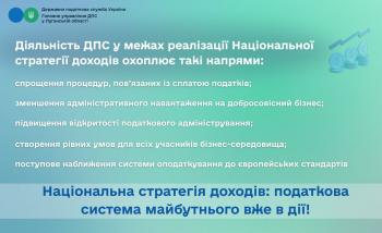 Національна стратегія доходів: основні аспекти