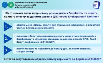 Про витяг щодо стану розрахунків з бюджетом та сплати єдиного внеску