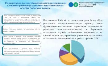 Основні податкові ризики