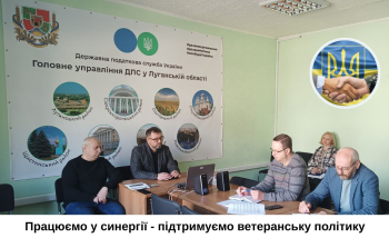 Онлайн-наради з представниками ДПС для обговорення питань щодо впровадження ефективного інструменту підтримки та адаптації ветеранів війни