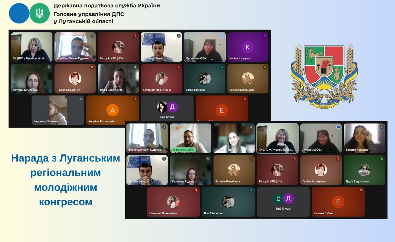 Про податки та місцеві бюджети під час наради з регіональним молодіжним конгресом Луганщини. Фото № 1/0