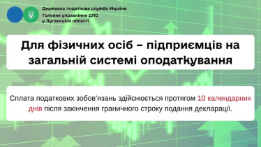 Податкова консультація нового формату: перевірте свій податковий стан